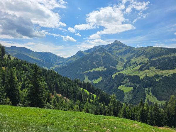 Vue de la maison de vacances [été]