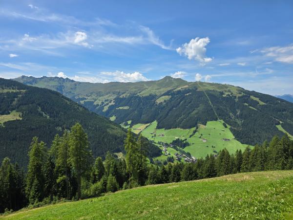 Vue de la maison de vacances [été]