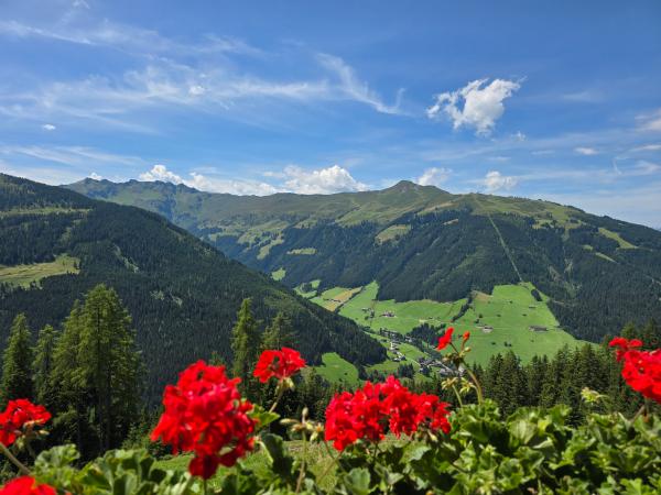 Vue de la maison de vacances [été]