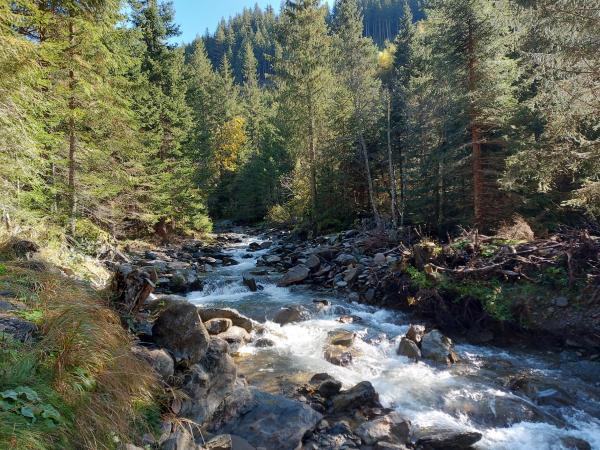 Dans les environs [été] (1-5 km)