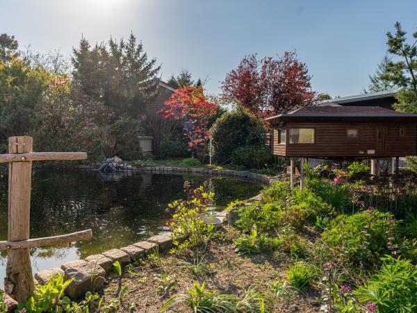 Aussicht vom Ferienhaus [Sommer]