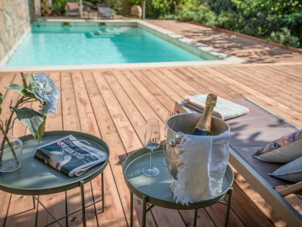 Piscine maison de vacances