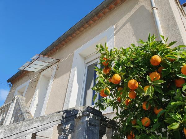 Extérieur maison de vacances [été]