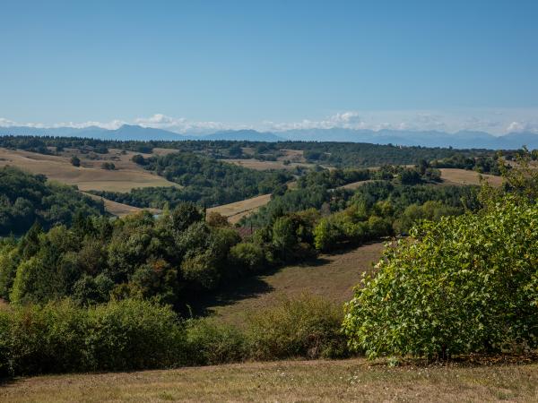 Vue de la maison de vacances [été]