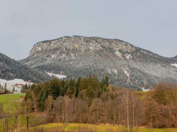 Aussicht vom Ferienhaus [Sommer]