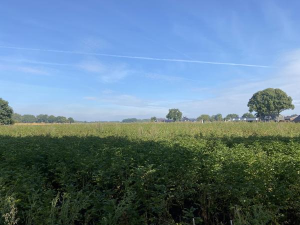 Uitzicht van vakantiehuis [zomer]