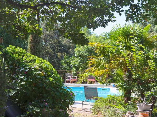 Holiday Home Swimming Pool