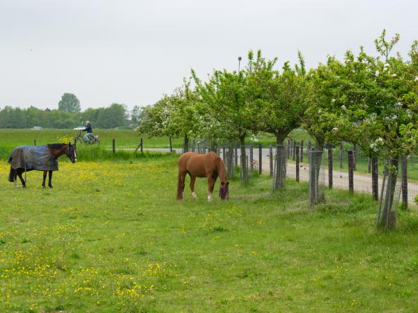 Aussicht vom Ferienhaus [Sommer]