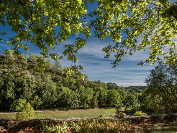 Directe omgeving [zomer] (<1 km)