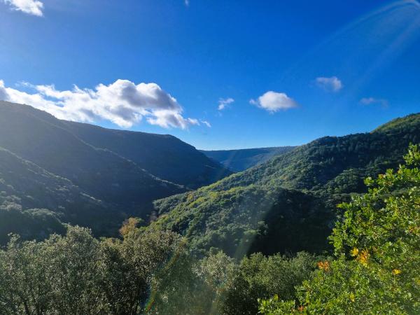 Dans les environs [été] (1-5 km)