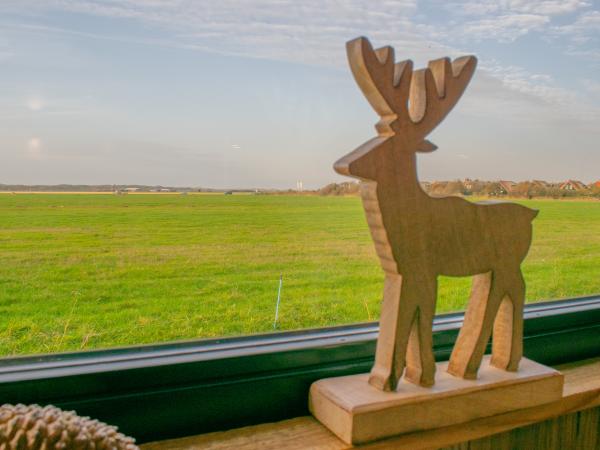 Vue de la maison de vacances [été]