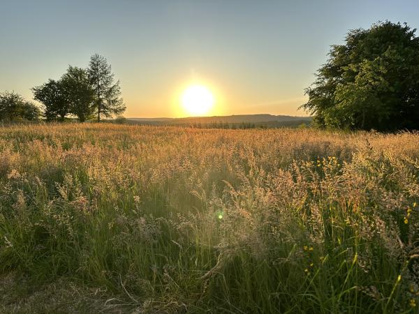 Vue de la maison de vacances [été]