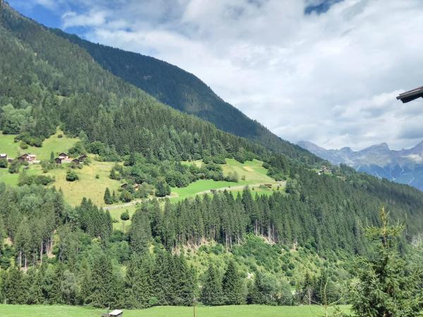 Aussicht vom Ferienhaus [Sommer]