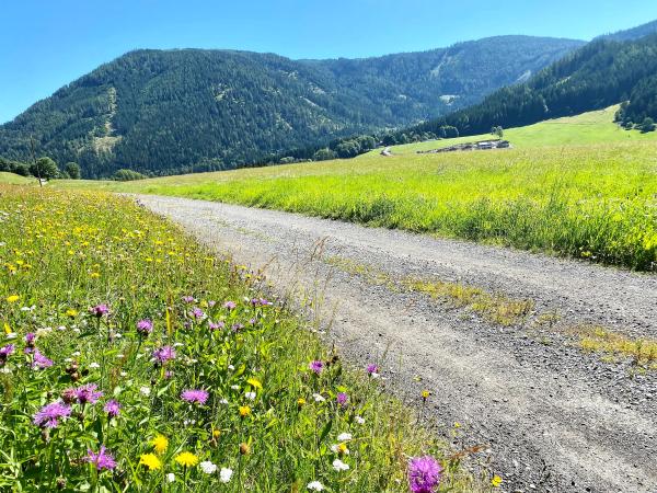 Direkte Umgebung [Sommer] (<1 km)