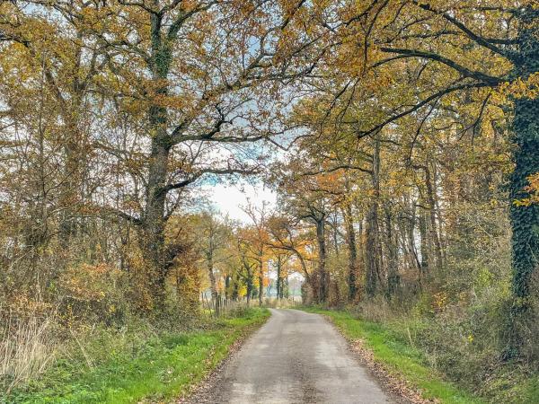 A proximité directe [été] (<1 km)