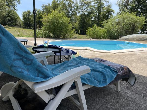 Schwimmbad des Ferienhauses