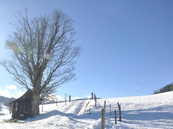 Umgebung [Winter] (1-5 km)