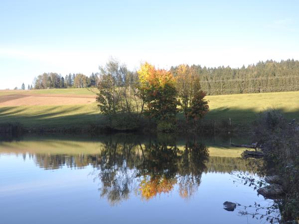 Surroundings [summer] (1-5 km)