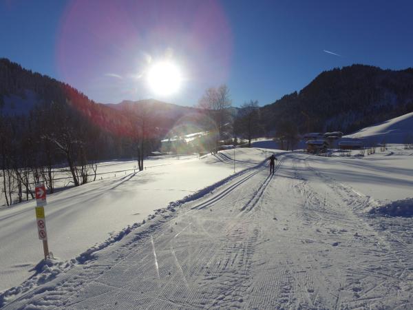 Aussicht vom Ferienhaus [Winter]