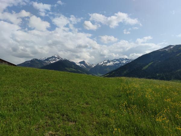 Aussicht vom Ferienhaus [Sommer]