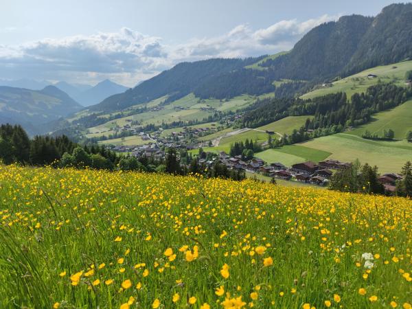 Aussicht vom Ferienhaus [Sommer]