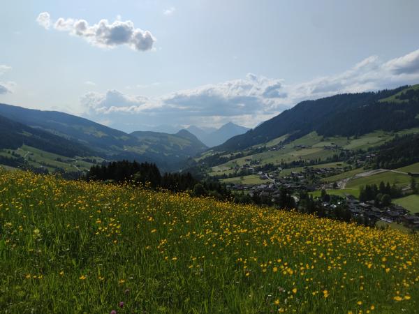 Vue de la maison de vacances [été]