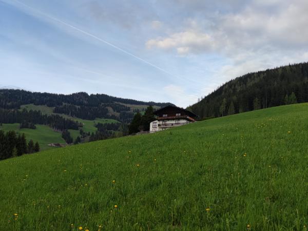 Außenseite Ferienhaus [Sommer]