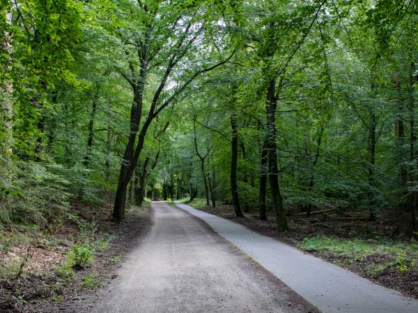 Direkte Umgebung [Sommer] (<1 km)