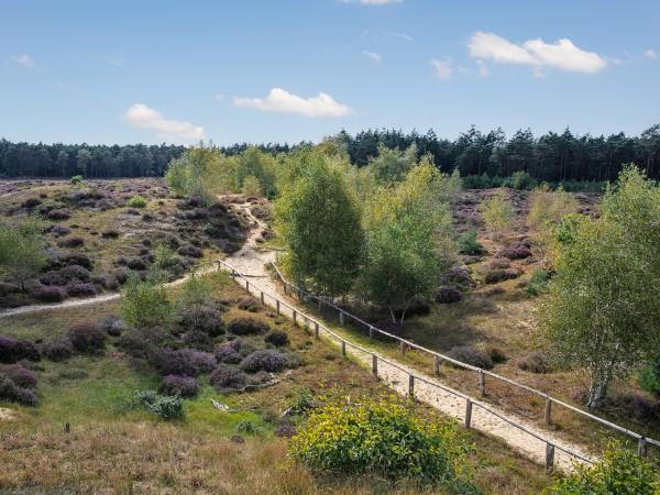 Surroundings [summer] (1-5 km)