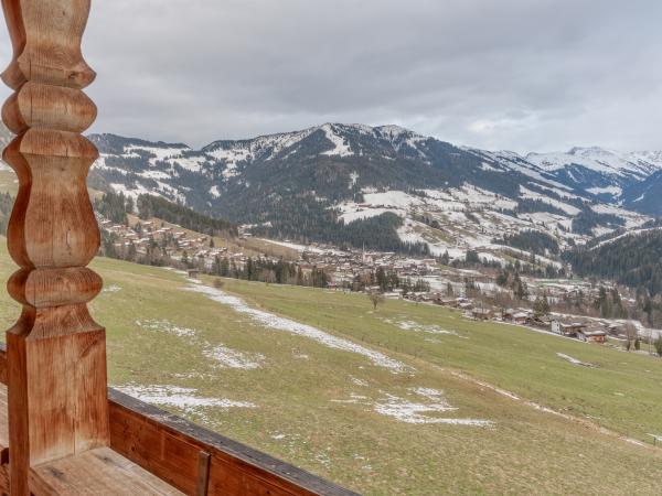 Vue de la maison de vacances [hiver]