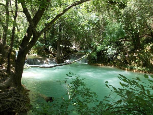 Dans la région [été] (>5 km)