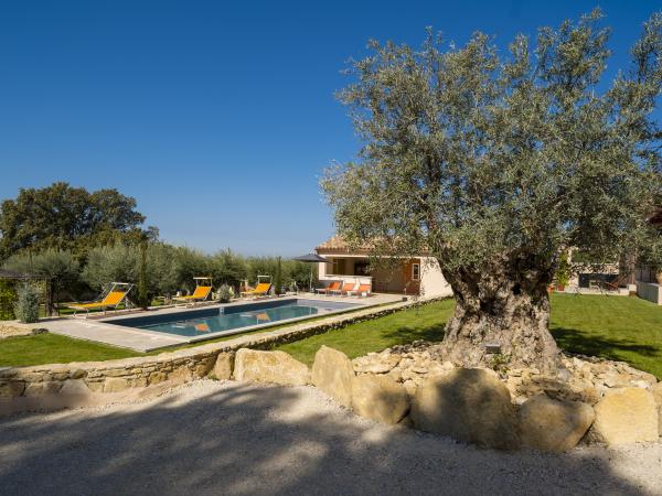 Piscine maison de vacances