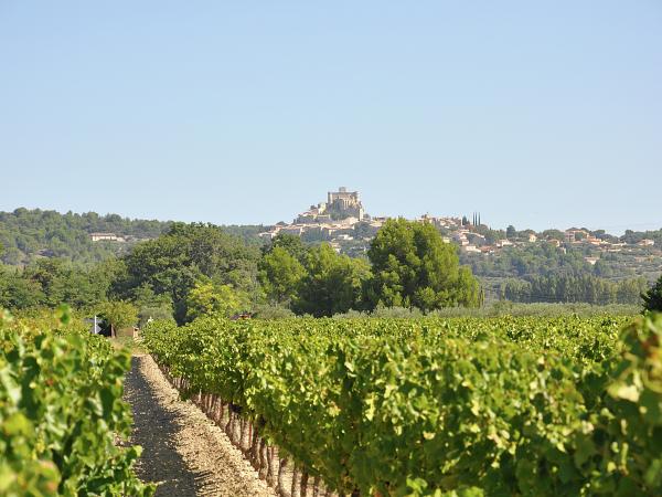 Dans les environs [été] (1-5 km)