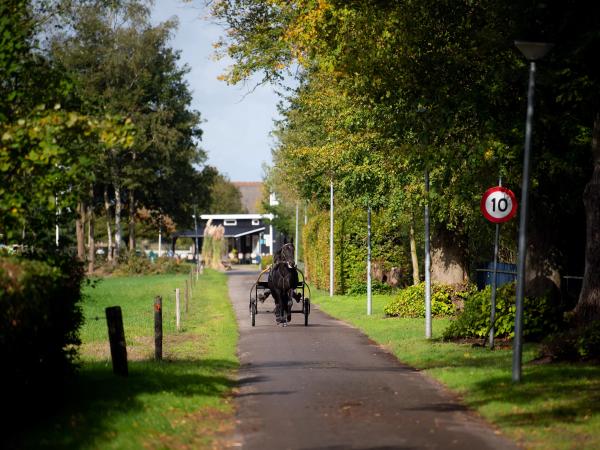 Immediate Surroundings [summer] (<1 km)