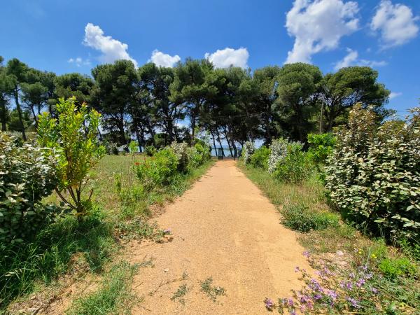 A proximité directe [été] (<1 km)