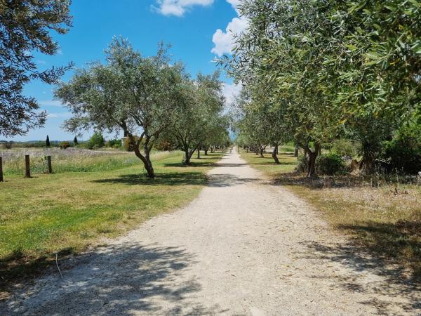 A proximité directe [été] (<1 km)