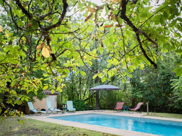 Holiday Home Swimming Pool