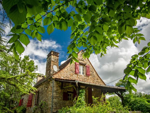 Extérieur maison de vacances [été]