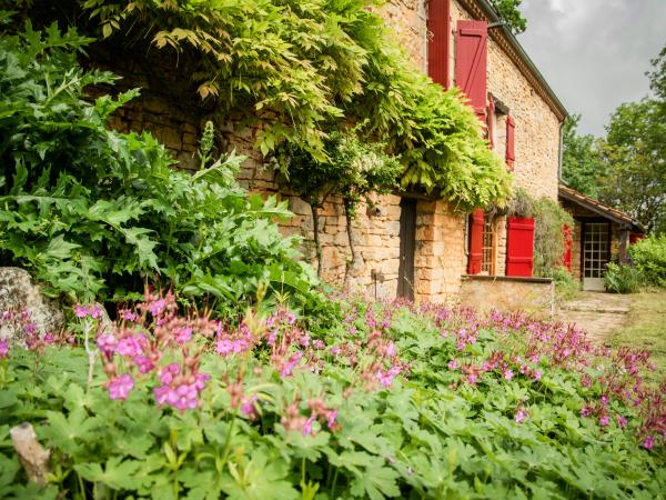 Extérieur maison de vacances [été]