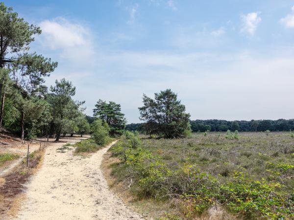 Omgeving [zomer] (1-5 km)