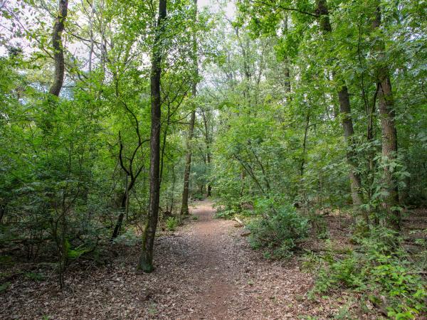 Omgeving [zomer] (1-5 km)