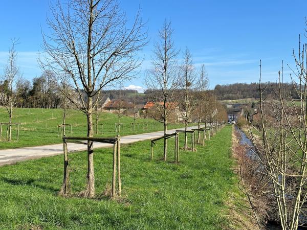 A proximité directe [été] (<1 km)