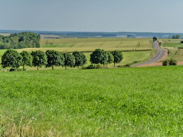 Surroundings [summer] (1-5 km)