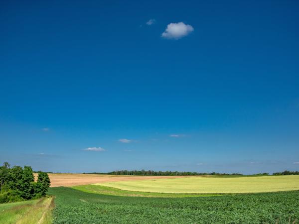 Immediate Surroundings [summer] (<1 km)