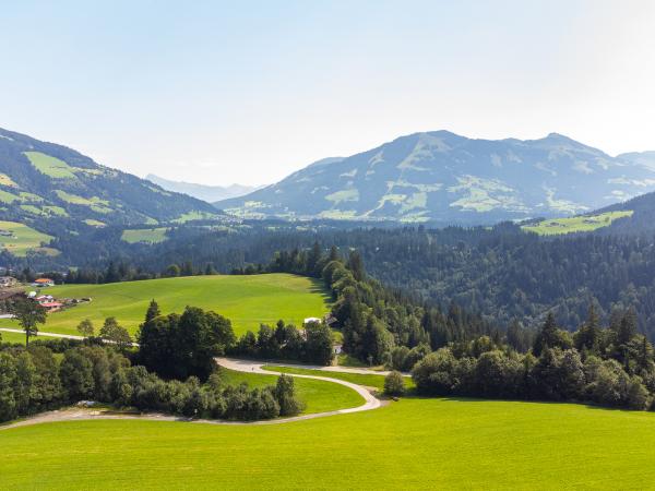 Aussicht vom Ferienhaus [Sommer]