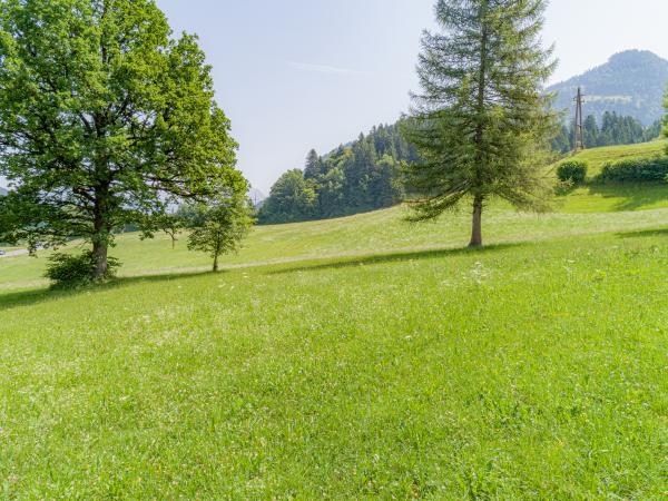 A proximité directe [été] (<1 km)