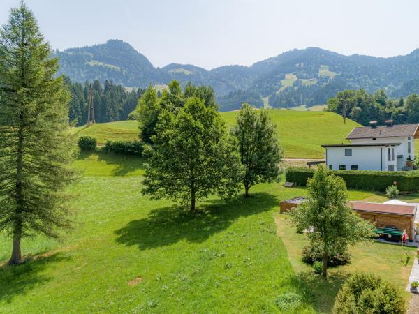 Aussicht vom Ferienhaus [Sommer]