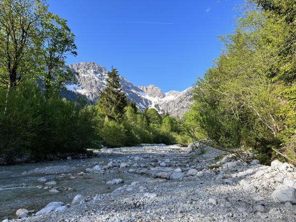 Directe omgeving [zomer] (<1 km)