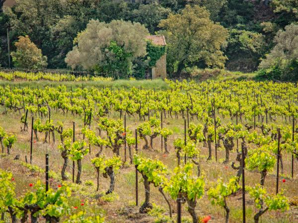 Dans les environs [été] (1-5 km)