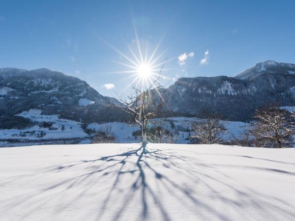 View from Holiday Home [winter]